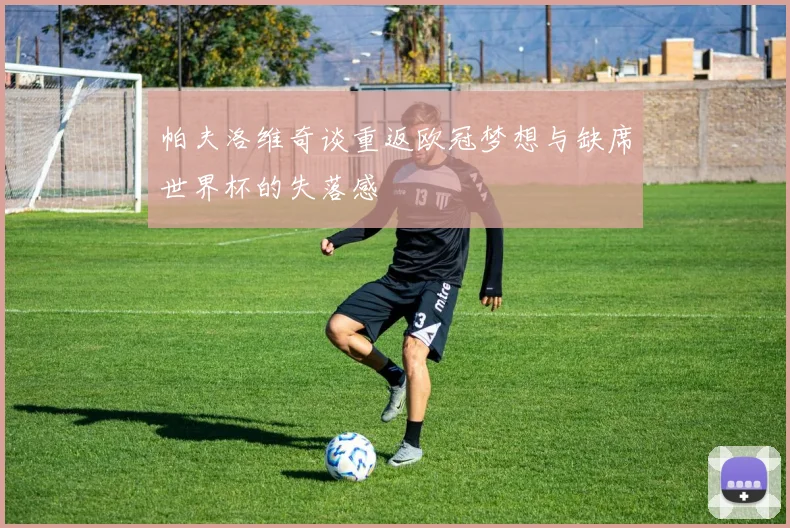 帕夫洛维奇谈重返欧冠梦想与缺席世界杯的失落感